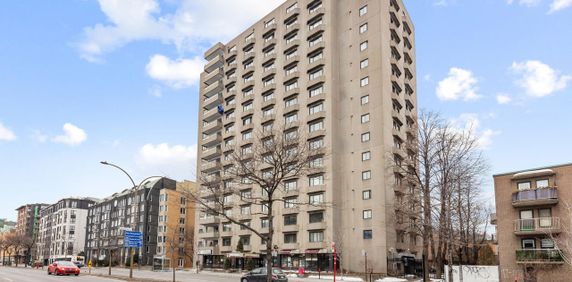 3-1/2 - 955 Boulevard René-Lévesque Est, Montréal - Photo 2