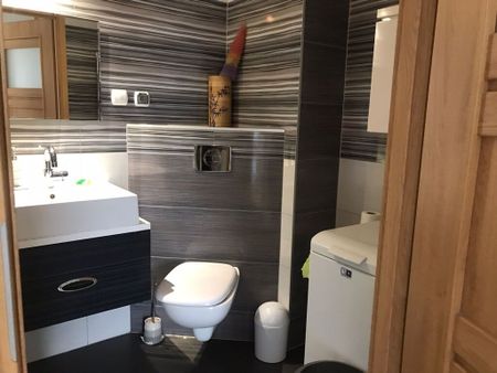 (Symbol 439384) - Zdjęcie 4