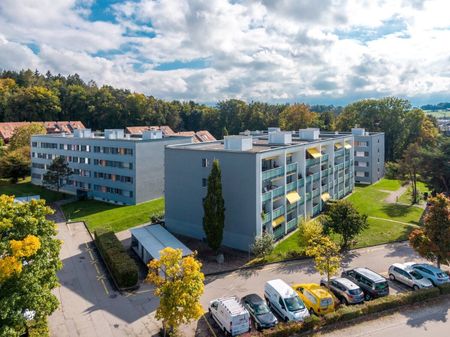 1.5 Zimmerwohnung zu vermieten in Düdingen! - Foto 4