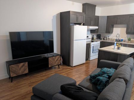 Appartement 3 1/2 à louer à Trois-Rivières (Des Prairies) - Photo 3