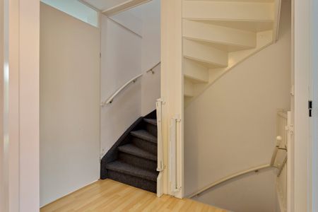 EINDHOVEN, Zandroos - Photo 3