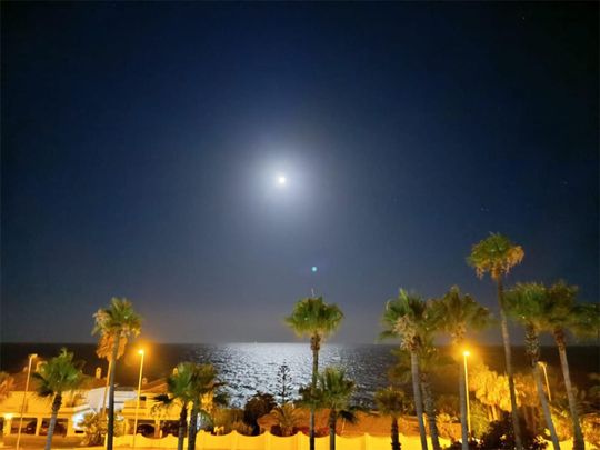 Piso de alquiler en Calle Catalpa, 3, El Faro de Calaburra - Chaparral - Photo 1