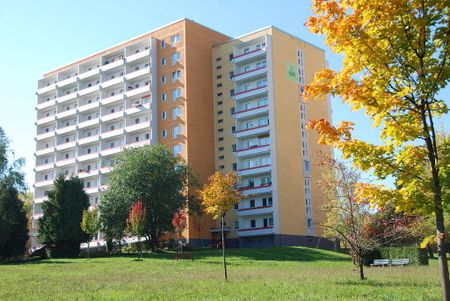 2-Raum-Wohnung mit Weitblick - Foto 3