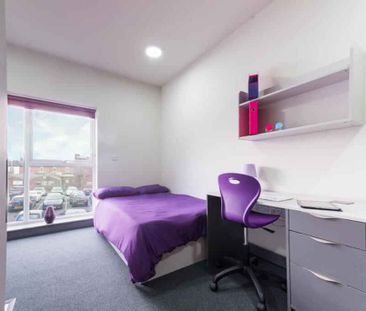 Deluxe Studio - Photo 2