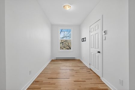 Appartement à louer - Montréal (Mercier/Hochelaga-Maisonneuve) (Hochelaga-Maisonneuve) Appartement à louer - Montréal (Mercier/Hochelaga-Maisonneuve) (Hochelaga-Maisonneuve) - Photo 2