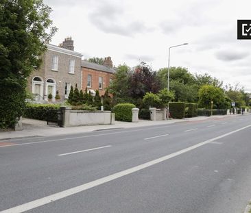 Cute studio apartment for rent in Rathgar, Dublin - Photo 5