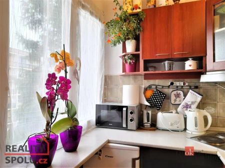 Pronájem bytu 1+1 32 m - Fotografie 3