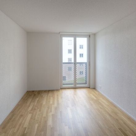 Nouveau - Bâtiment neuf - Bodelenweg - Location sans caution - Photo 1