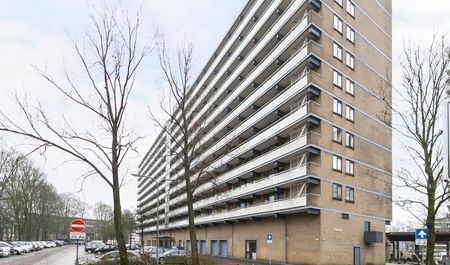 Groenhof 0ong, 1186 DL Amstelveen, Nederland - Foto 5