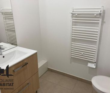 Location Appartement 1 pièce 19m² TOURS 37100 - Photo 2