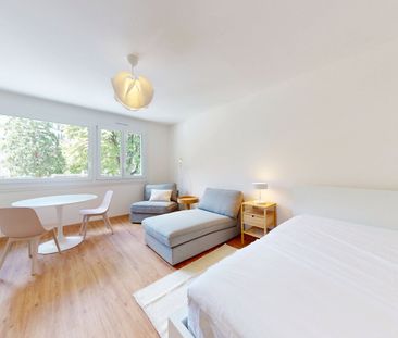 Furnished 30 m² Studio with Separate Kitchen – Plainpalais, Geneva - Foto 3