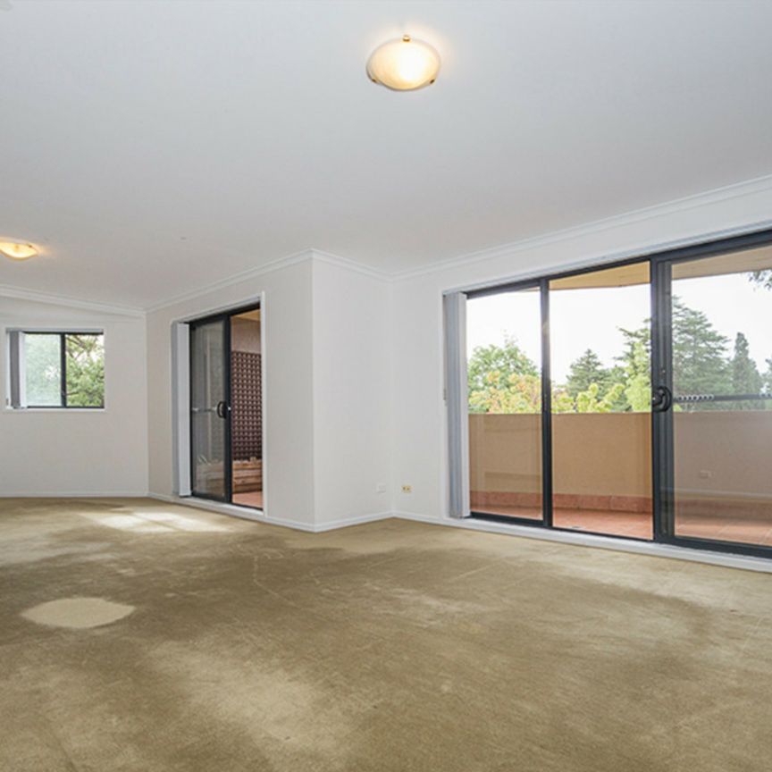 Two Bedroom Apartment in Great Area! - Photo 1