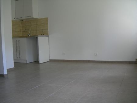 Location Appartement 1 pièce 23m² BRIOUDE 43100 - Photo 3