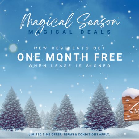 Lakeshore Apartments - Photo 4