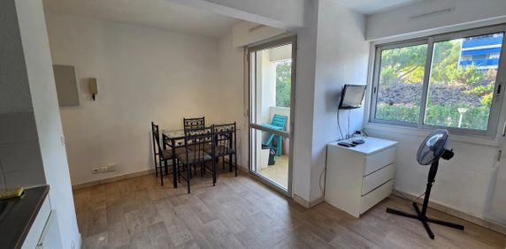 Location Décembre à juin - Photo 2