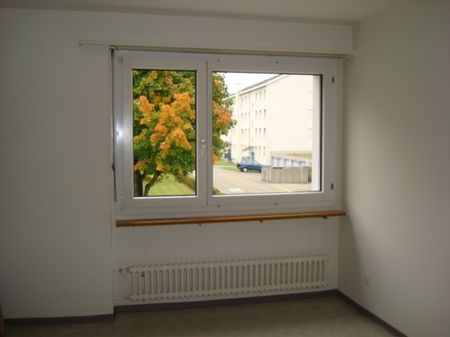 Appartement de 3 pièces dans la vallée de la Limmat, entre Baden et Zurich - Photo 3