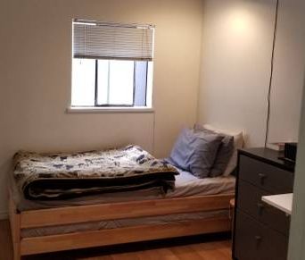 Cozy 1bdrm in Chinatown private - Photo 2