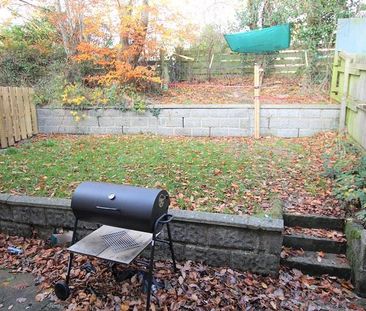 4 bedroom house to rent - Photo 5