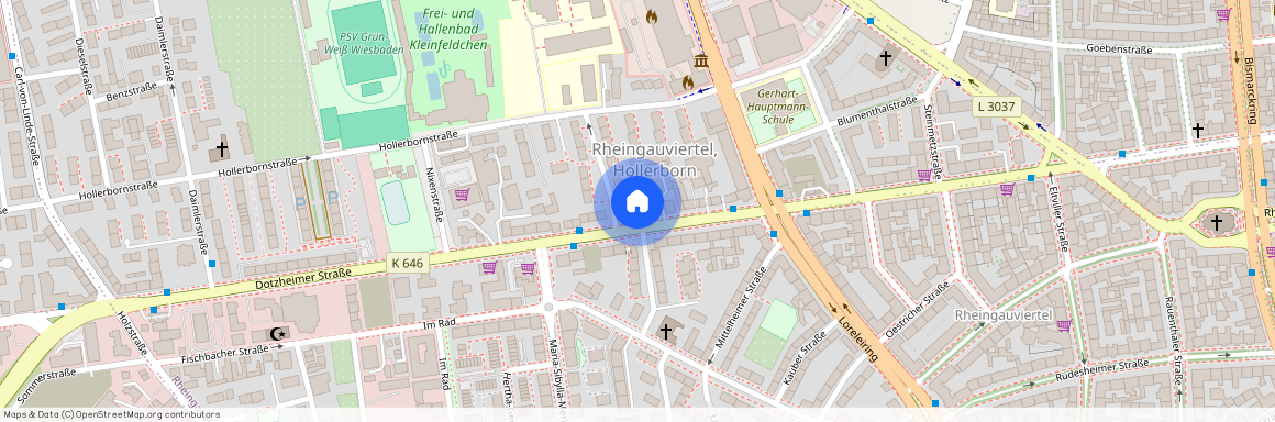 Dotzheimer Str. 111, 65197, Wiesbaden Ot Westend