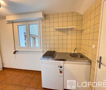 Appartement T1 Hésingue à louer - Photo 5