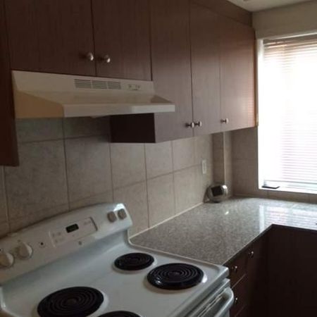 1 CH - 1 SDB - Côte Saint-Luc - $1,125 /mo - Photo 3