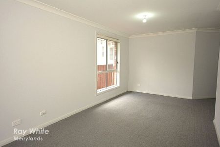 MODERN MAGIC - Photo 5