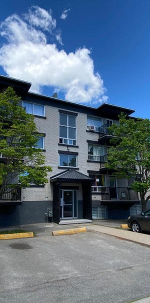 3 1/2 Limoilou chauffé eau chaude 1er février - Photo 1