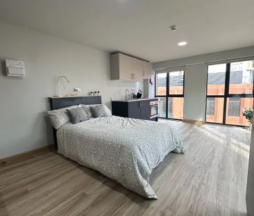 Sequoia Studio - Photo 6