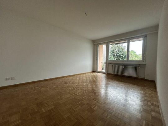 Füllinsdorf / 3 Zimmer Wohnung Erdgeschoss - Foto 1