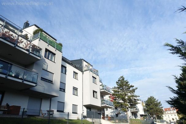 Terrassenwohnung beim Hörndlwaldes - 5 Jahre befristet - Foto 1