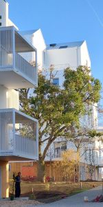 APPARTEMENT T3 61M - Photo 4