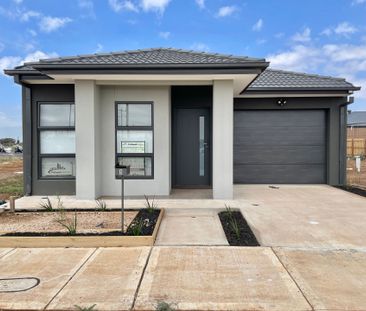 New in Deanside - Photo 1