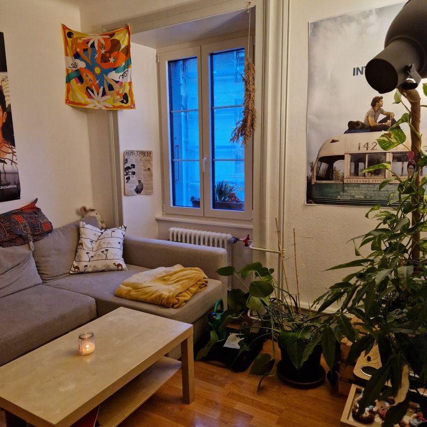 2 Zimmer, 50 m² - Foto 1