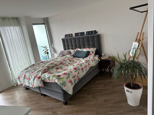 APPARTEMENT 31/2 PIÈCES À DÜBENDORF (ZH), MEUBLÉ, TEMPORAIRE - Foto 1