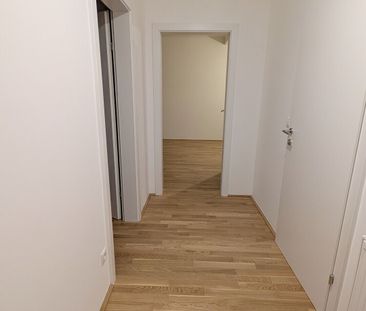 ERSTBEZUG: Großartige 2-Zimmer Wohnung nahe Augarten in 1020 Wien z... - Photo 6