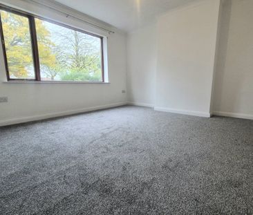 Cousin Lane - Photo 4