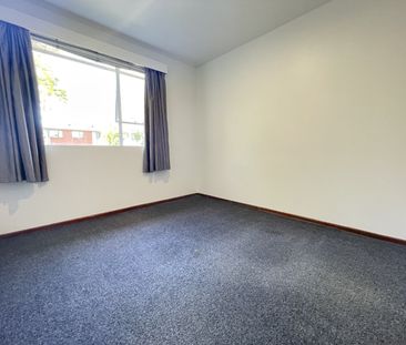 61 Brodie Street, Ilam, Christchurch - Photo 4