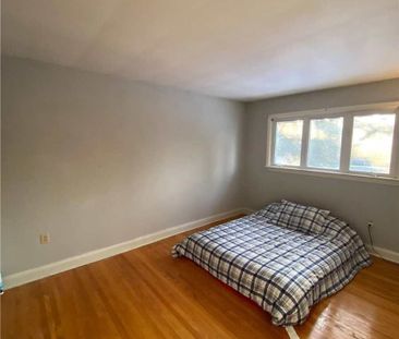 For Lease - 42 Brook Road, Cobourg, Ontario - Photo 1