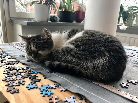 Brålunden, Bromma - Photo 1