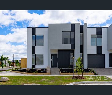 52 Burniston Avenue, Craigieburn, Vic 3064 - Photo 2