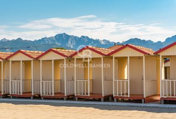 Villa in Affitto a Forte dei Marmi – Zona: Centro