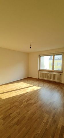 Nähe Kannenfeldpark - Photo 4