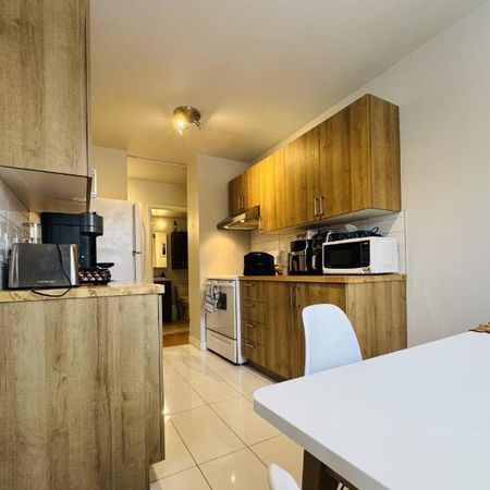 Appartement 4 ½ à louer Lévis juillet 2026 - Photo 4