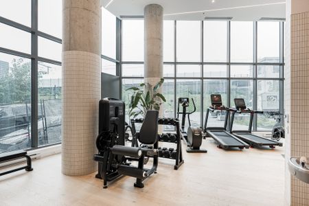 100 Rue Murray, #808 - Photo 5