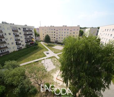 Gorzów Wielkopolski - Zdjęcie 2