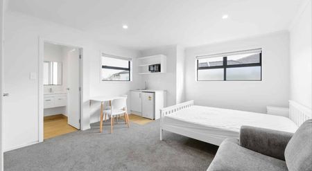 Fully Furnished Studio Unit - Photo 2