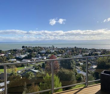 Near New & Great Views - Photo 1