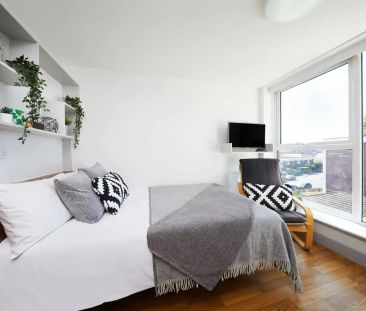 Premium Studio - Photo 4