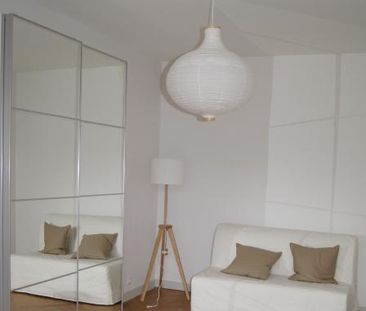 Location Appartement 1 pièce Meublé 30m² STE FOY LES LYON 69110 - Photo 4