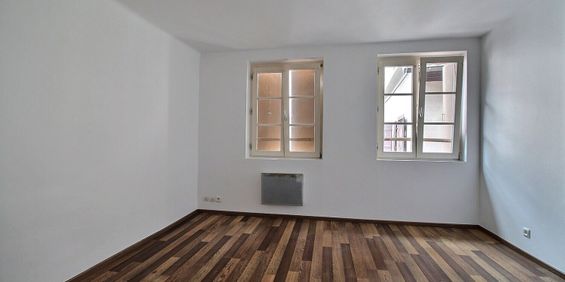 Location Appartement 2 pièces 54m² SELESTAT 67600 - Photo 3